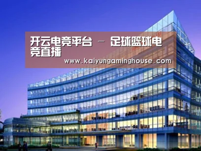 案例展示五