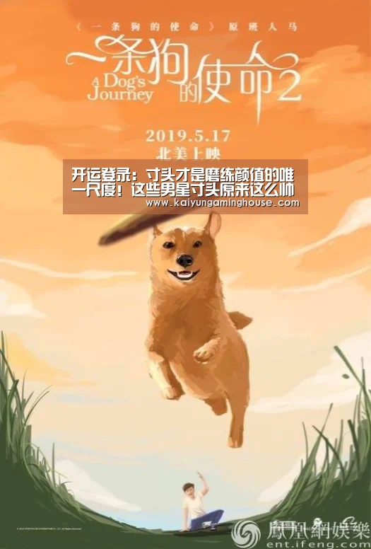 开运登录